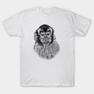 Tufted capuchin T-Shirt